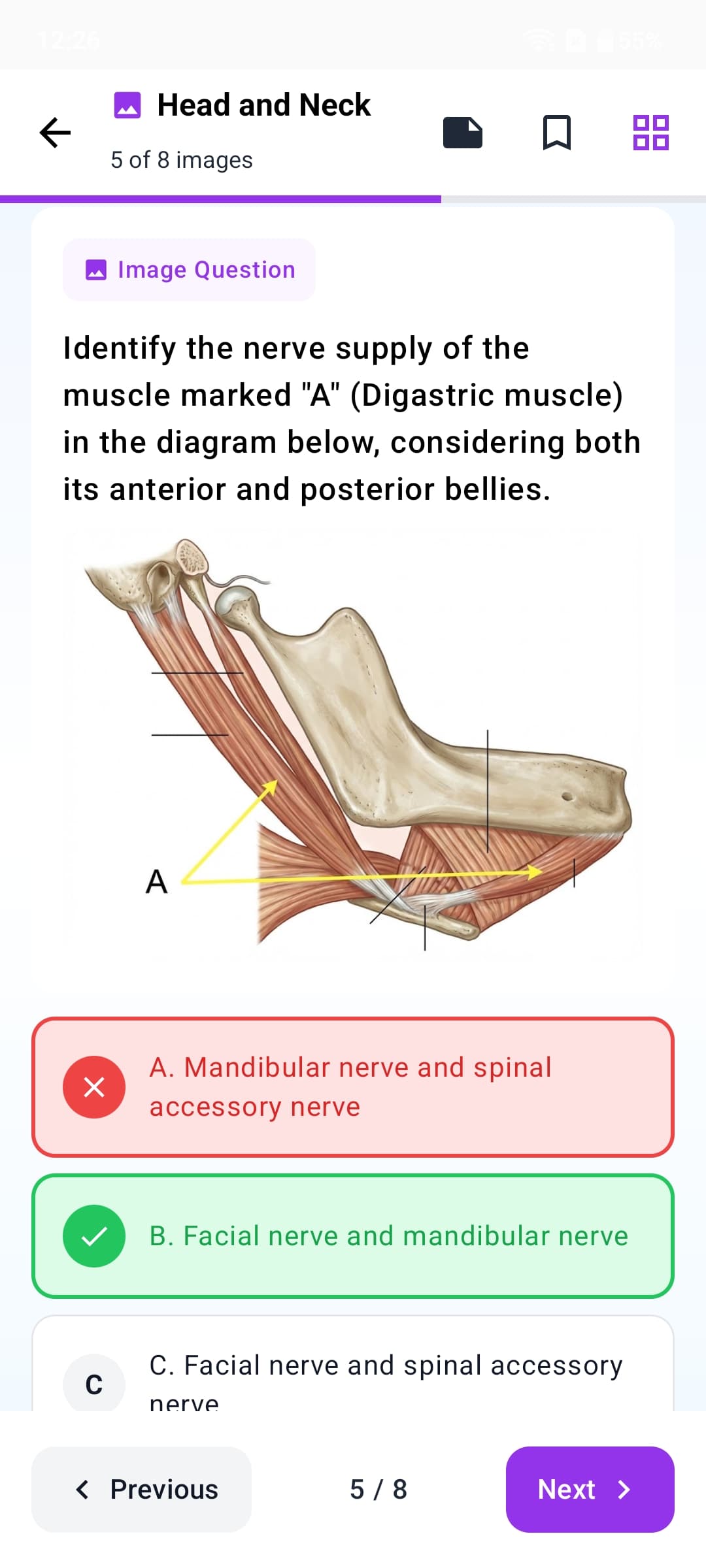 Image-based MCQs
